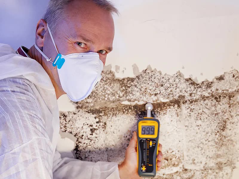 Mold testing and assessment by a Florida licensed mold assessor